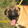 Skeeter *LOCAL*