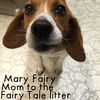 Beast Fairy Tale