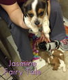 Jasmine Fairy Tale