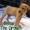 Oscar The Grouch