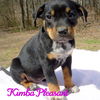 Kimba Pleasant *LOCAL*