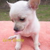 Lani Lucky