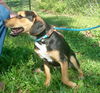 Bailey *LOCAL*