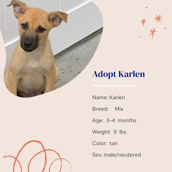 Karlen