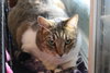 Penny - Photo 3