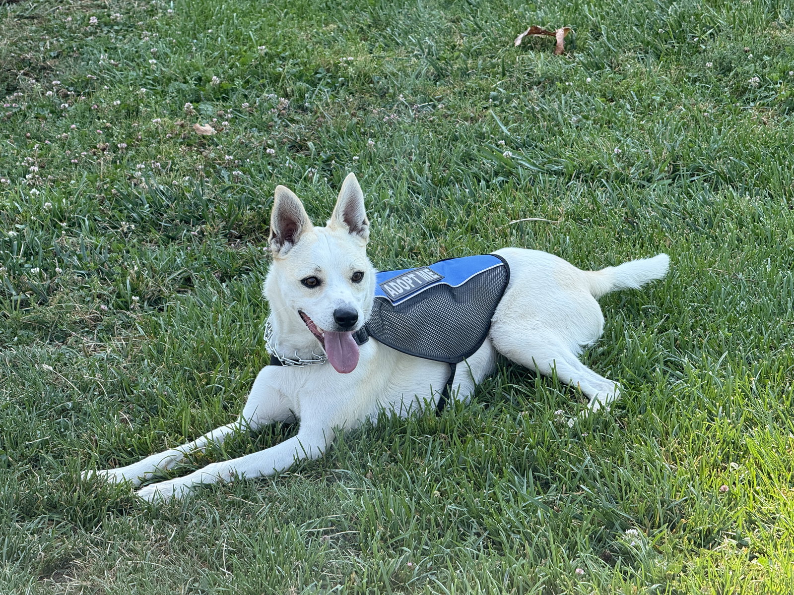Luka