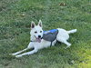 Luka - Photo 1
