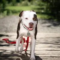 Quinn image 3