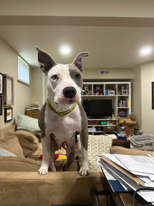 Juno