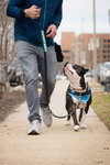 Percy - Photo 4