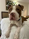 Malcolm - Photo 10