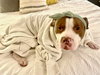Malcolm - Photo 7
