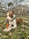 Malcolm - Photo 9