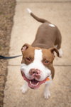 Malcolm - Photo 2