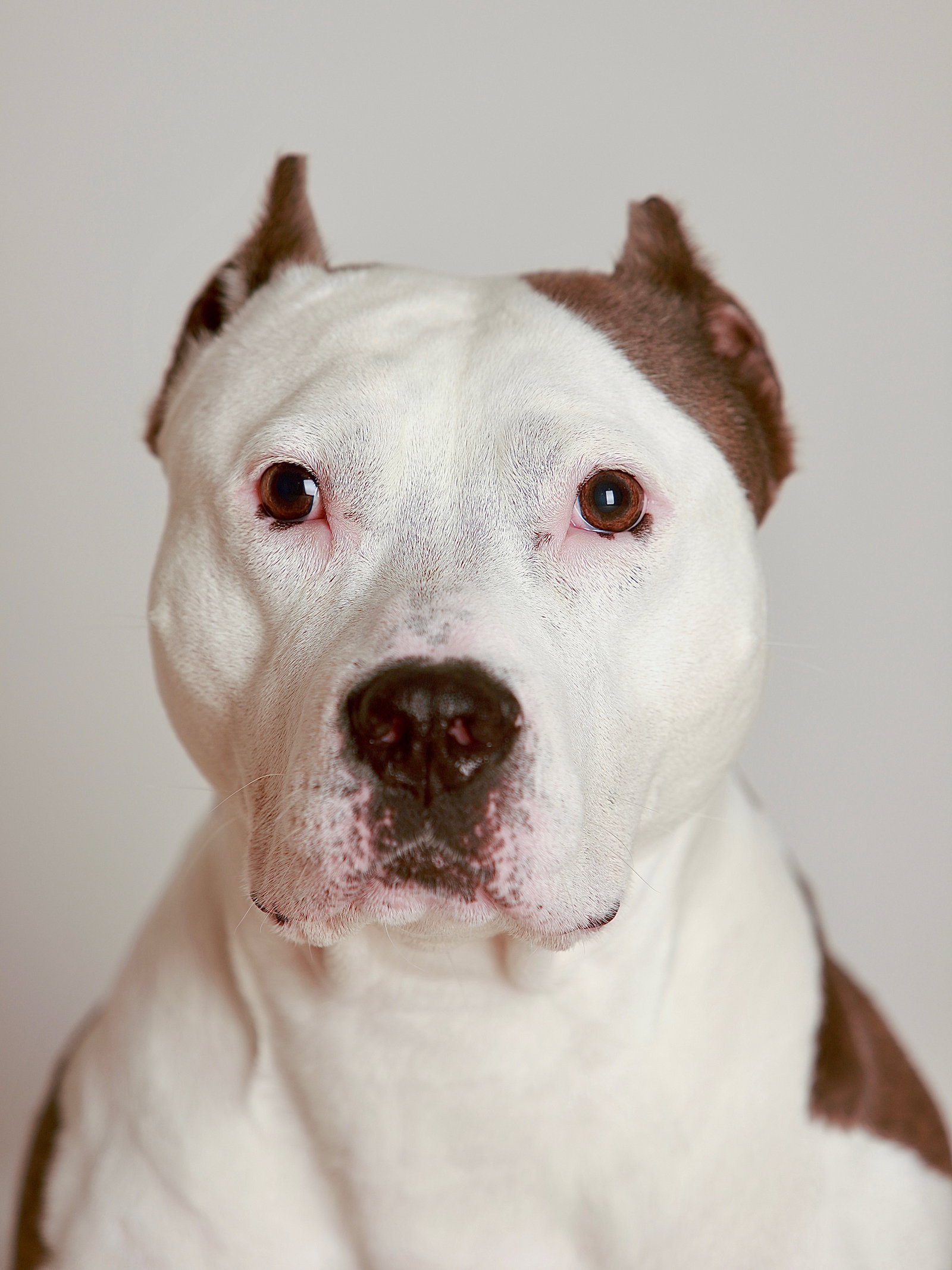 Harlow, photo 3
