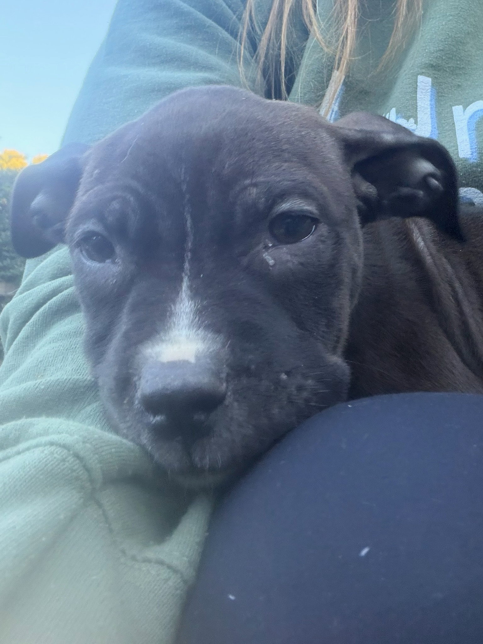 Odin, photo 2