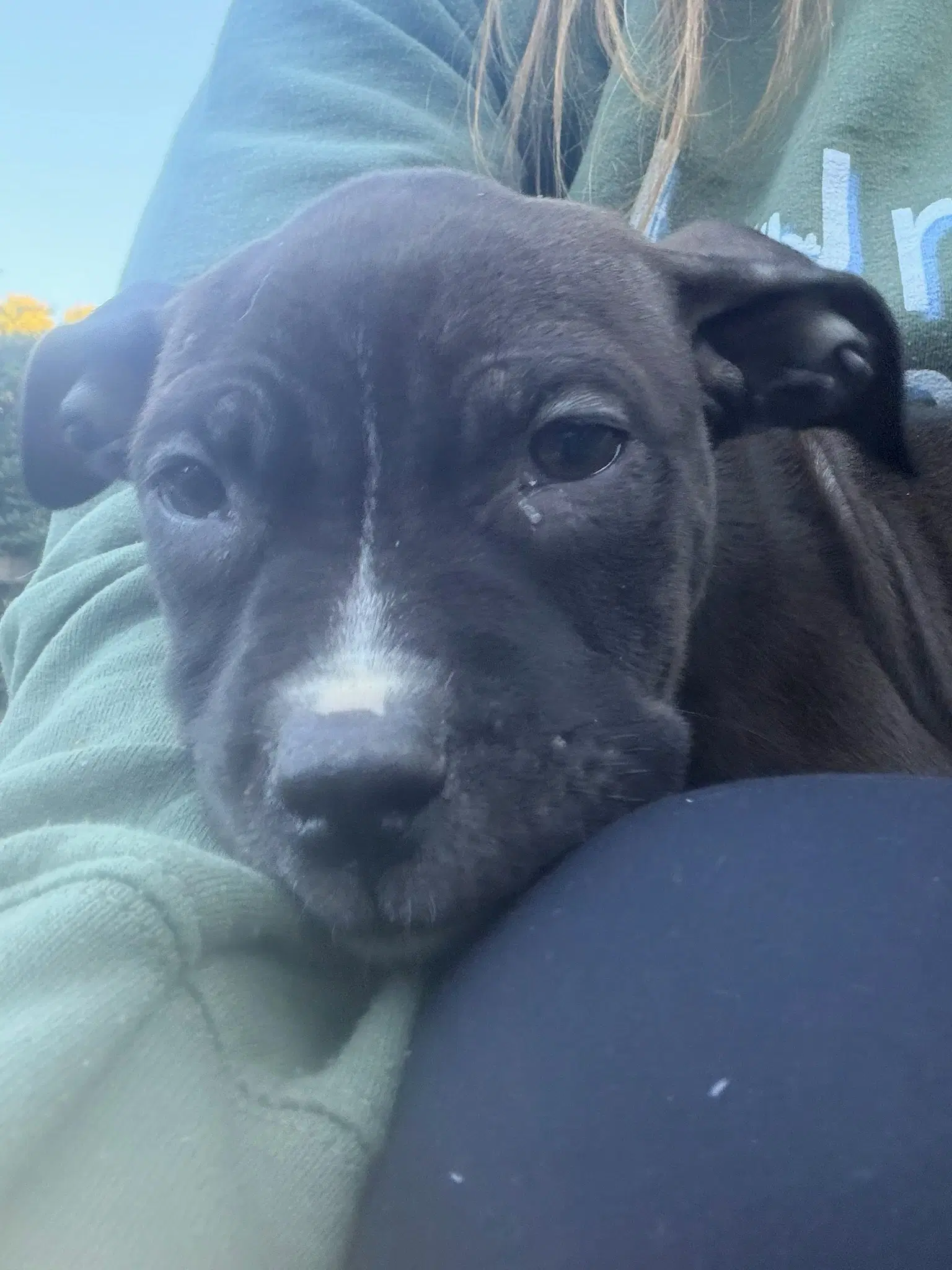 Odin image 2