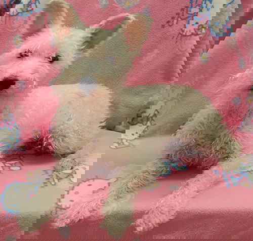 Sugar