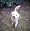 Hobbes