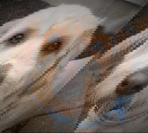 Jax