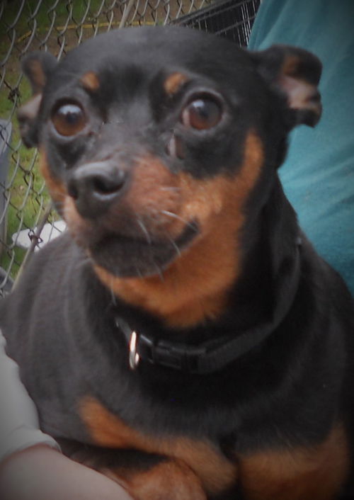 Spike