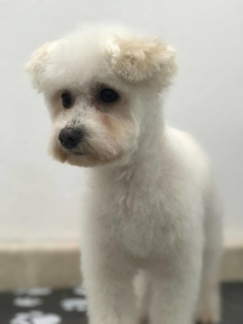 Milo
