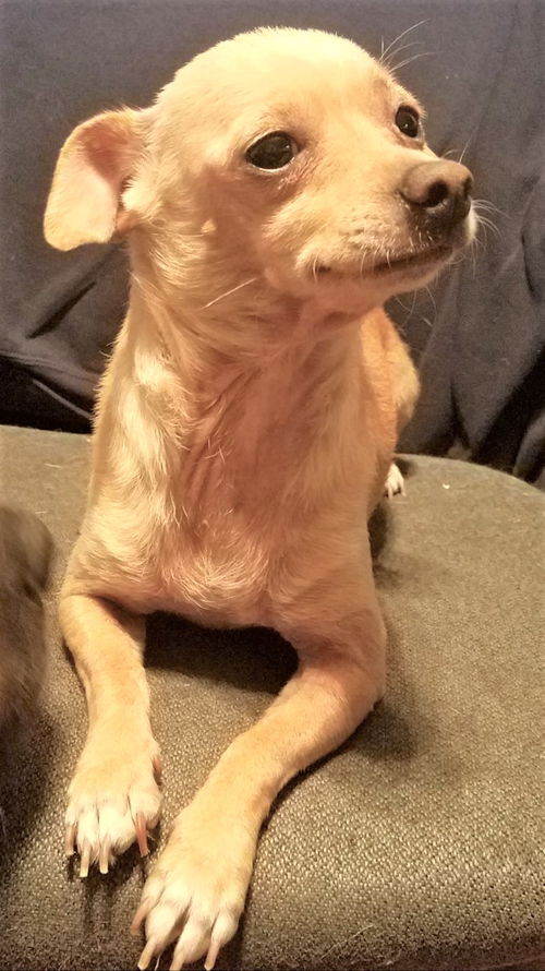Jerry