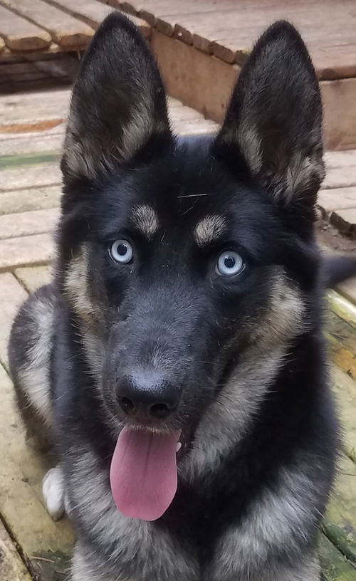 Skye