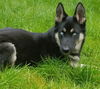 Skye