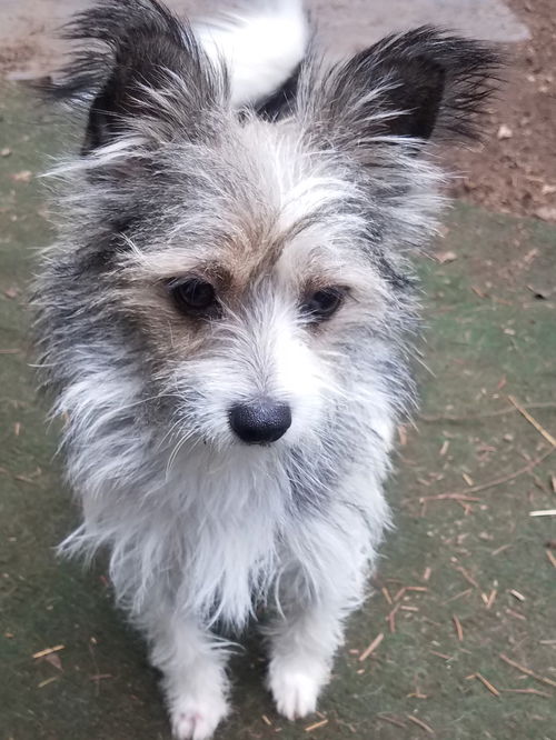Theodore