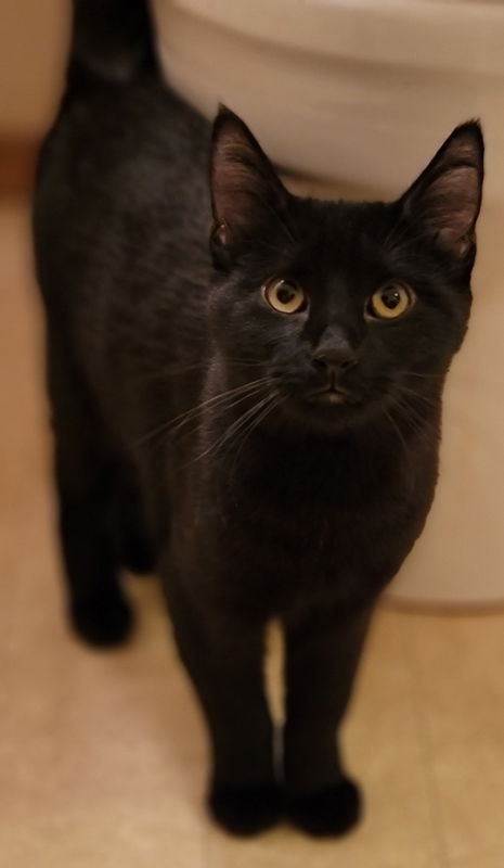 Sonny