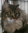 Missy