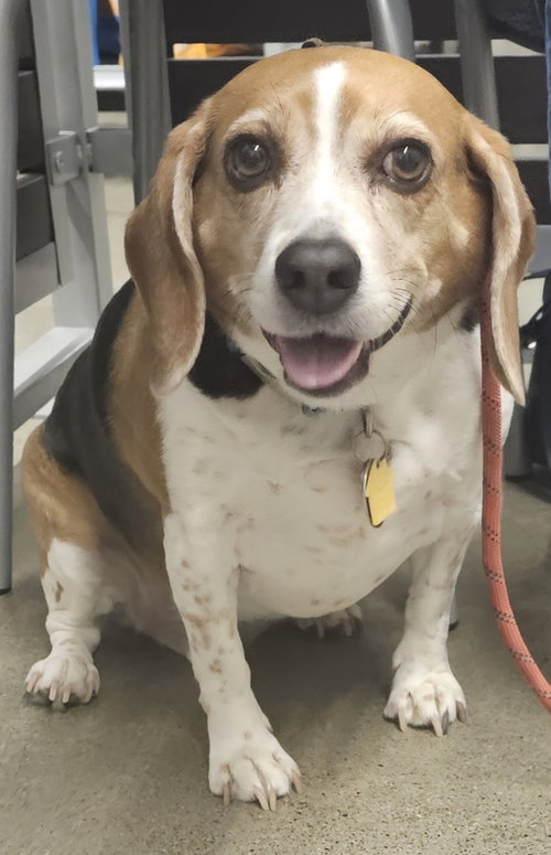 Mitzi