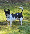 Roscoe