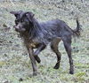 Zellie
