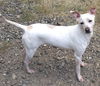 Josie