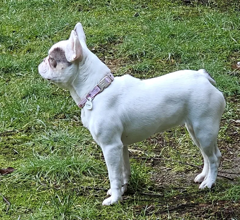Aubrey image 3