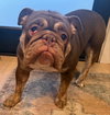 Mickie