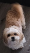 Baylee