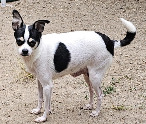 Penelope photo 2