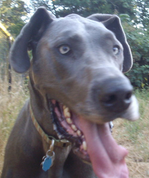 Titus
