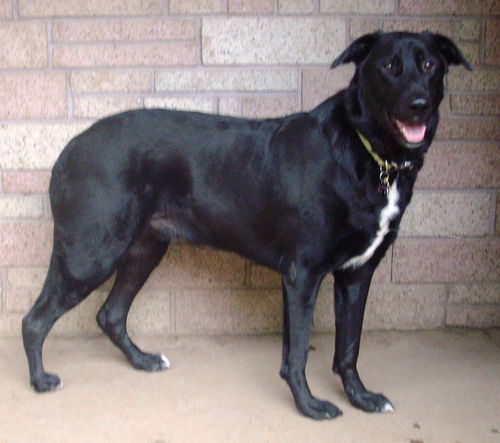 Spencer