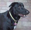 Spencer
