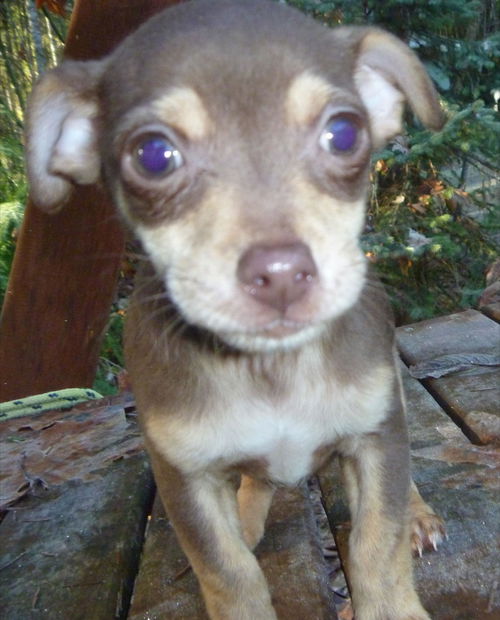 Skye