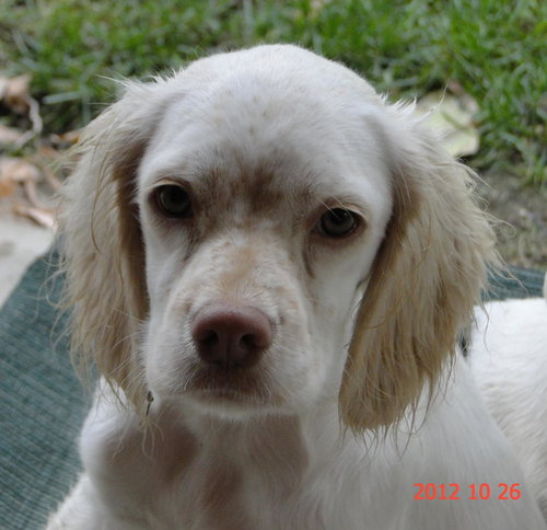 Molly