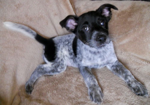 Savannah