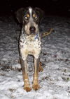 Skeeter