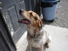 Sawyer