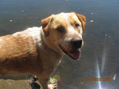 Spencer