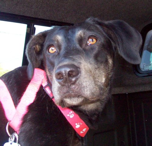 Molly